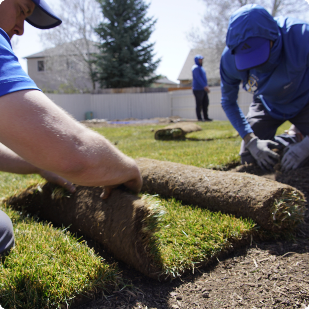 Lawn Install