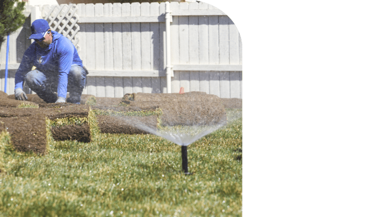 Sod Install First Place Landscape